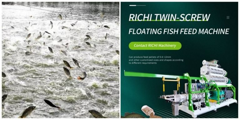 How much is floating fish feed making machine?