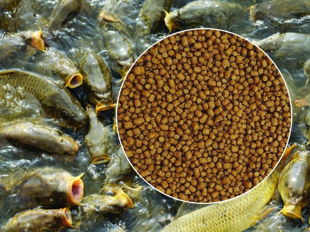 The Key Features Of a High-Quality Sinking Fish Feed Pellet Mill