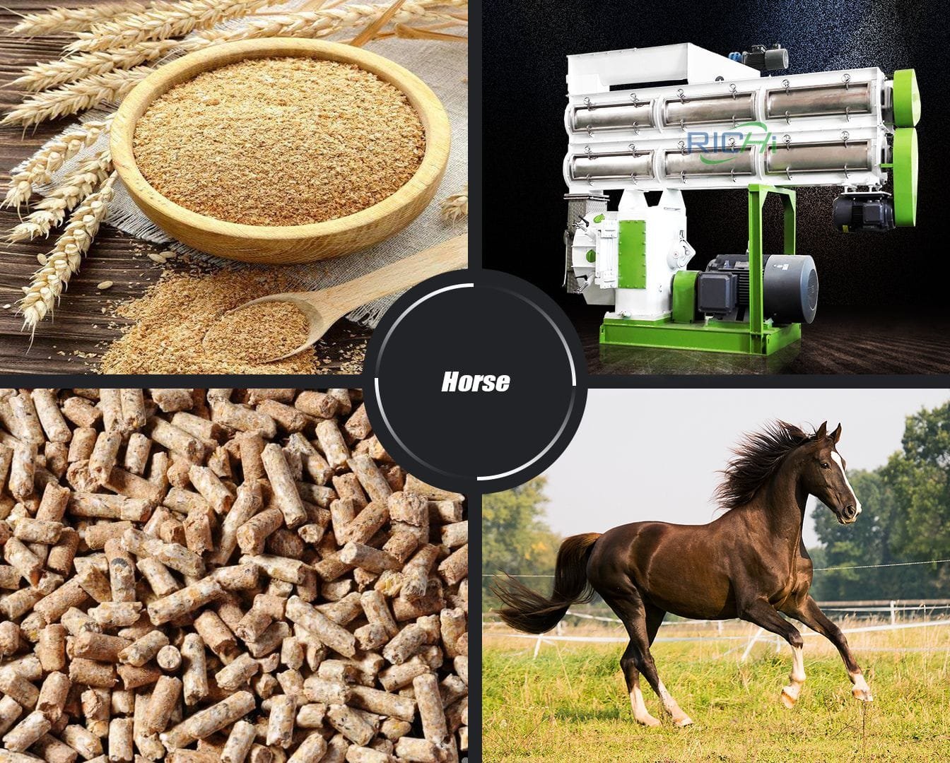 horse feed pellet machine