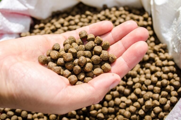 How to Start an Aquatic Feed Production Business