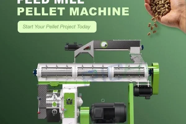 RICHI poultry feed pellet making machine